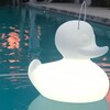 DUCK DUCK DRIJVENDE LED-LAMP SMALL WIT