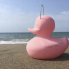 DUCK DUCK DRIJVENDE LED-LAMP SMALL pink editition 