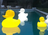 DUCK DUCK LED-LAMPE FLOTTANTE XL JAUNE