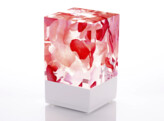 D-CUB ROSES WHITE