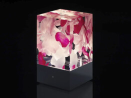 D-CUB ROSES BLACK