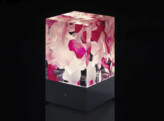 D-CUB ROSES BLACK