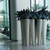 THE VASES EXTRALARGE   EXTRAVAGANT